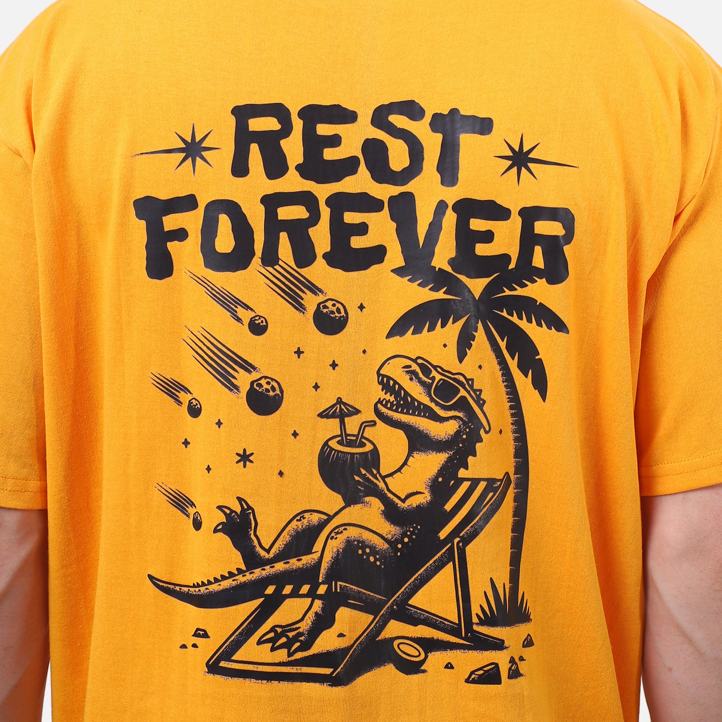 Jurassic Vacation Graphic T-Shirt Classic Vibes Bold Color