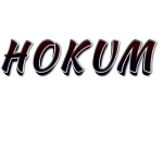 hokum men & women tshirt